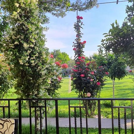 Room With Private Garden ชโคเดอร์ ภายนอก รูปภาพ