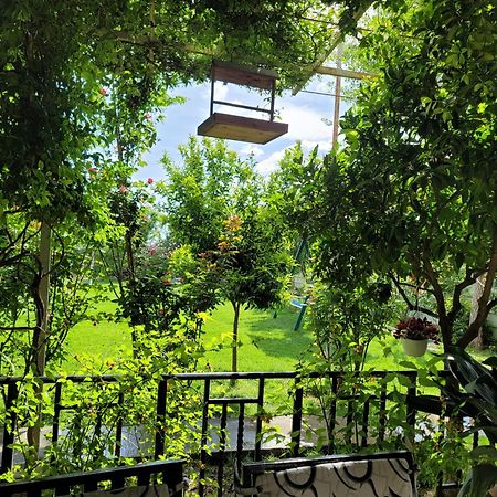Room With Private Garden ชโคเดอร์ ภายนอก รูปภาพ