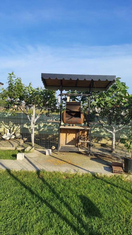 Room With Private Garden ชโคเดอร์ ภายนอก รูปภาพ